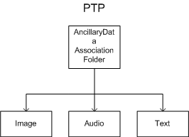 ptp tree for an image with ancillary data.